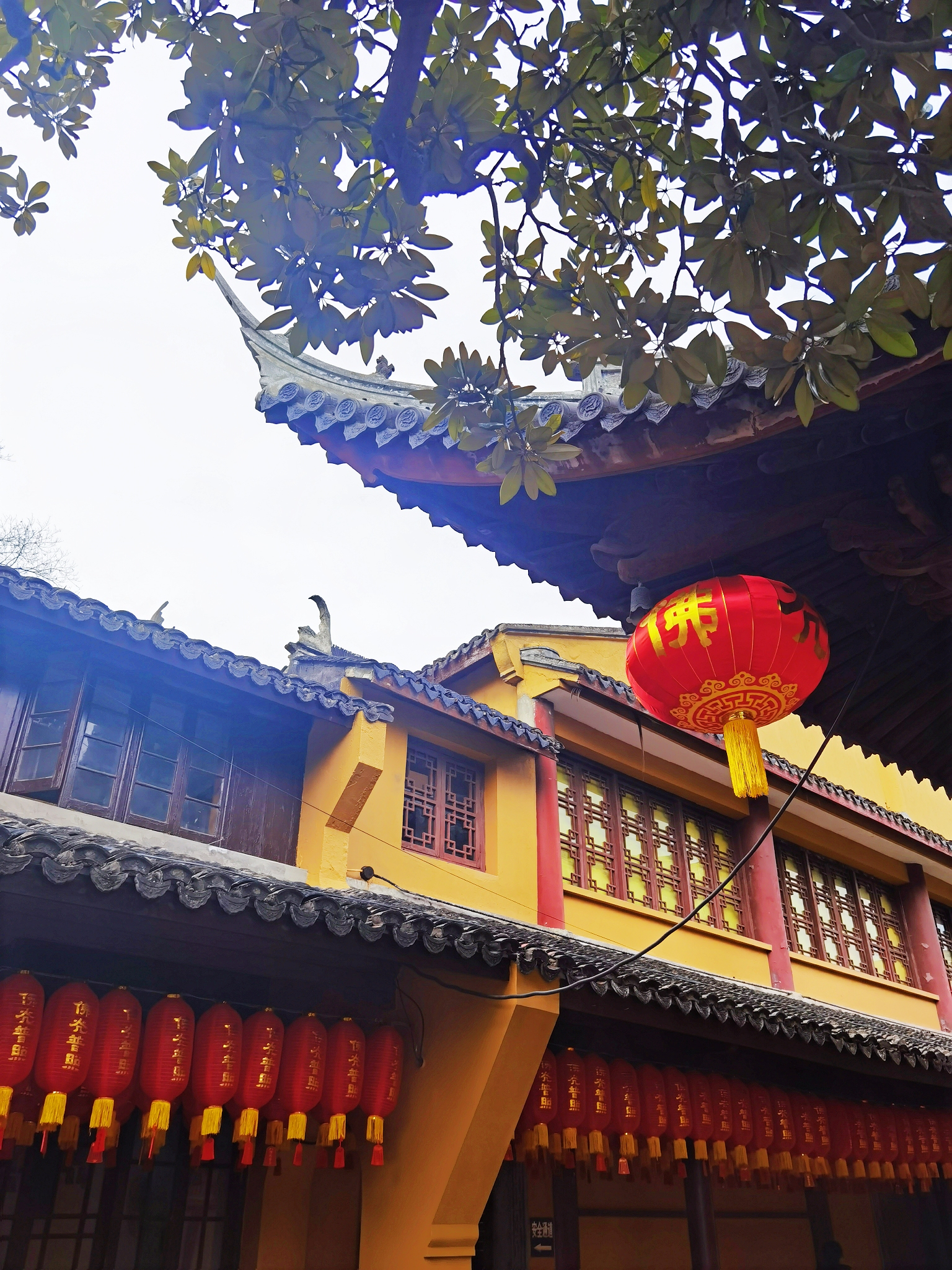 龙华寺上香祈福首发