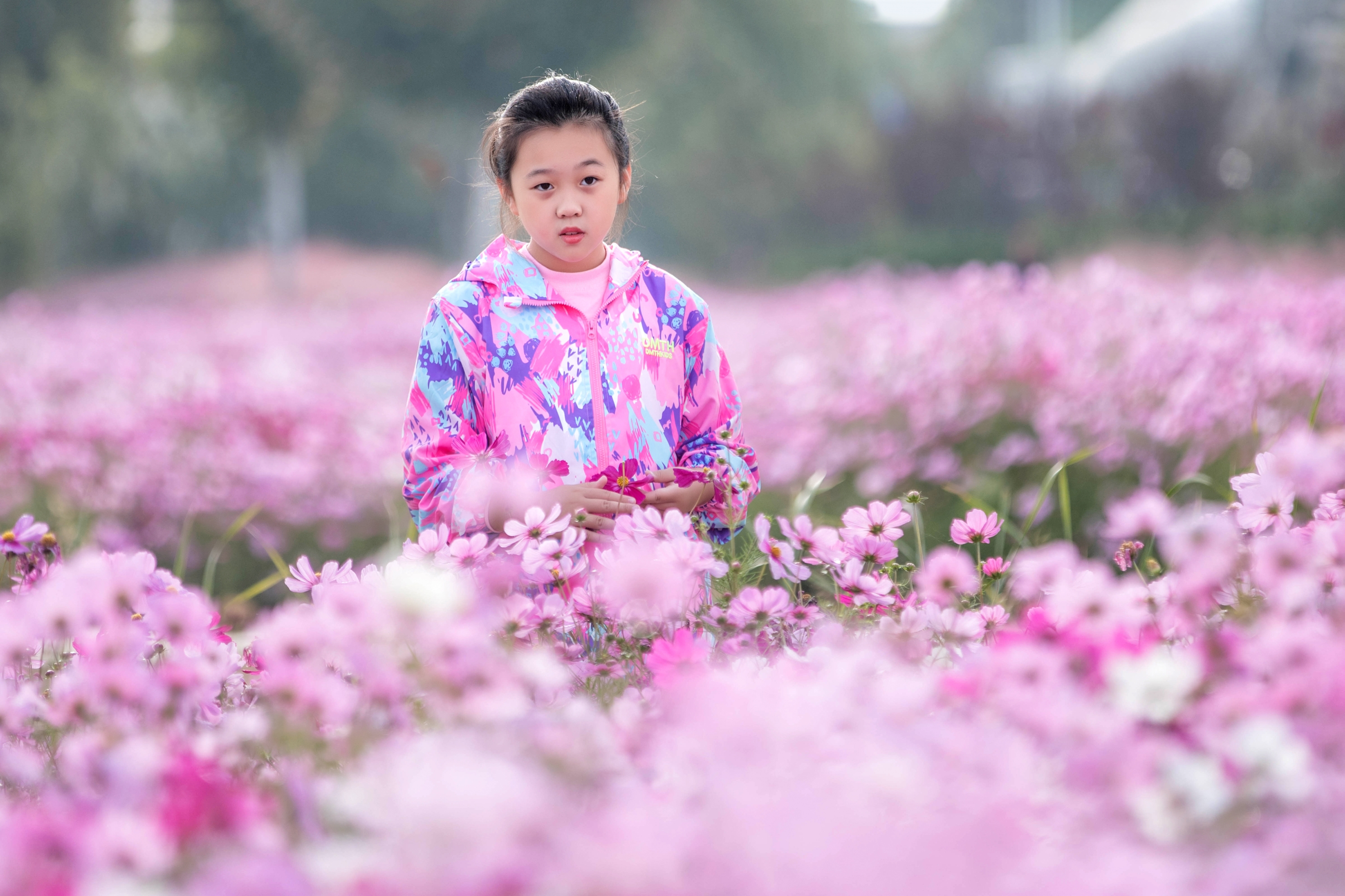 花开时节