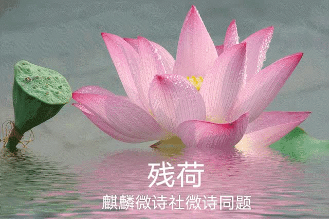 王恩斌,云惔风清,和天悦色,ray,和风细雨,流云随风,云淡风轻,心如止水
