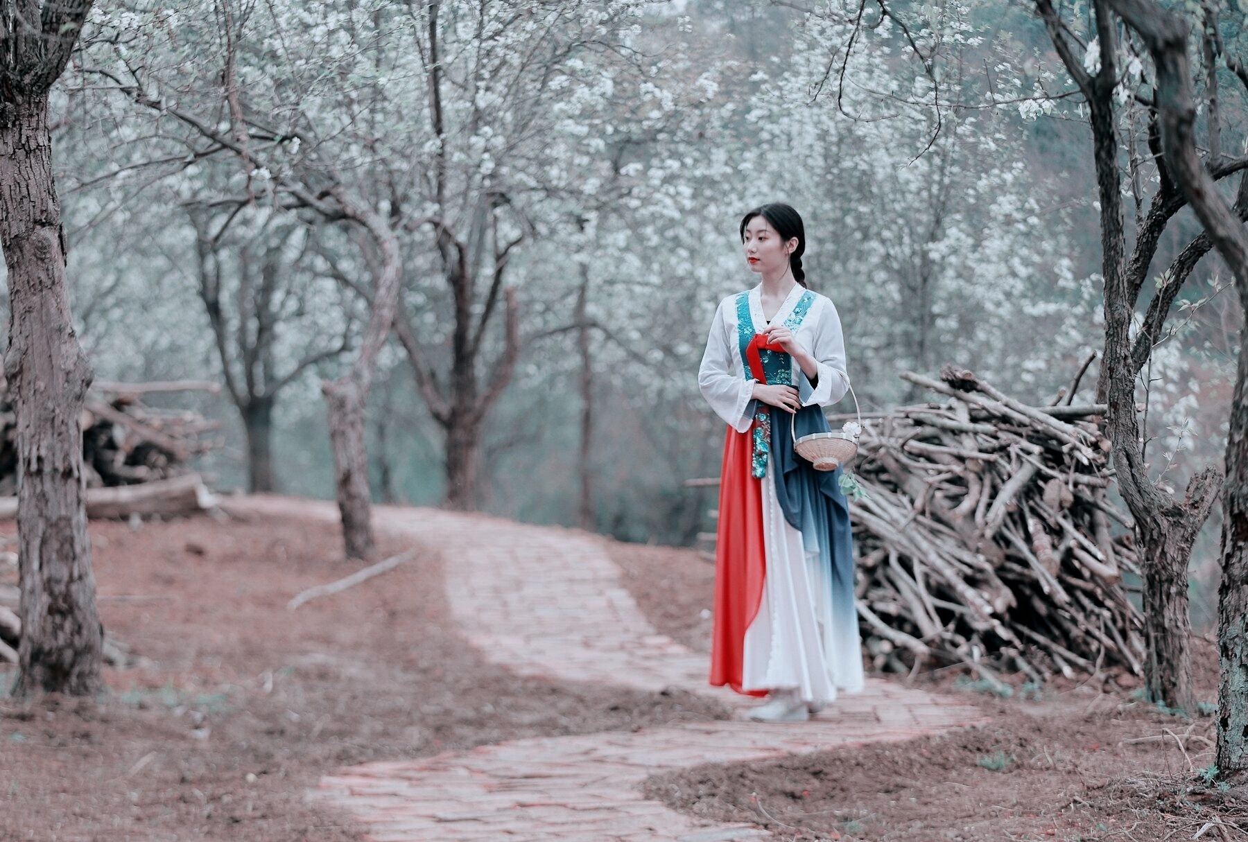 红尘来去一场梦