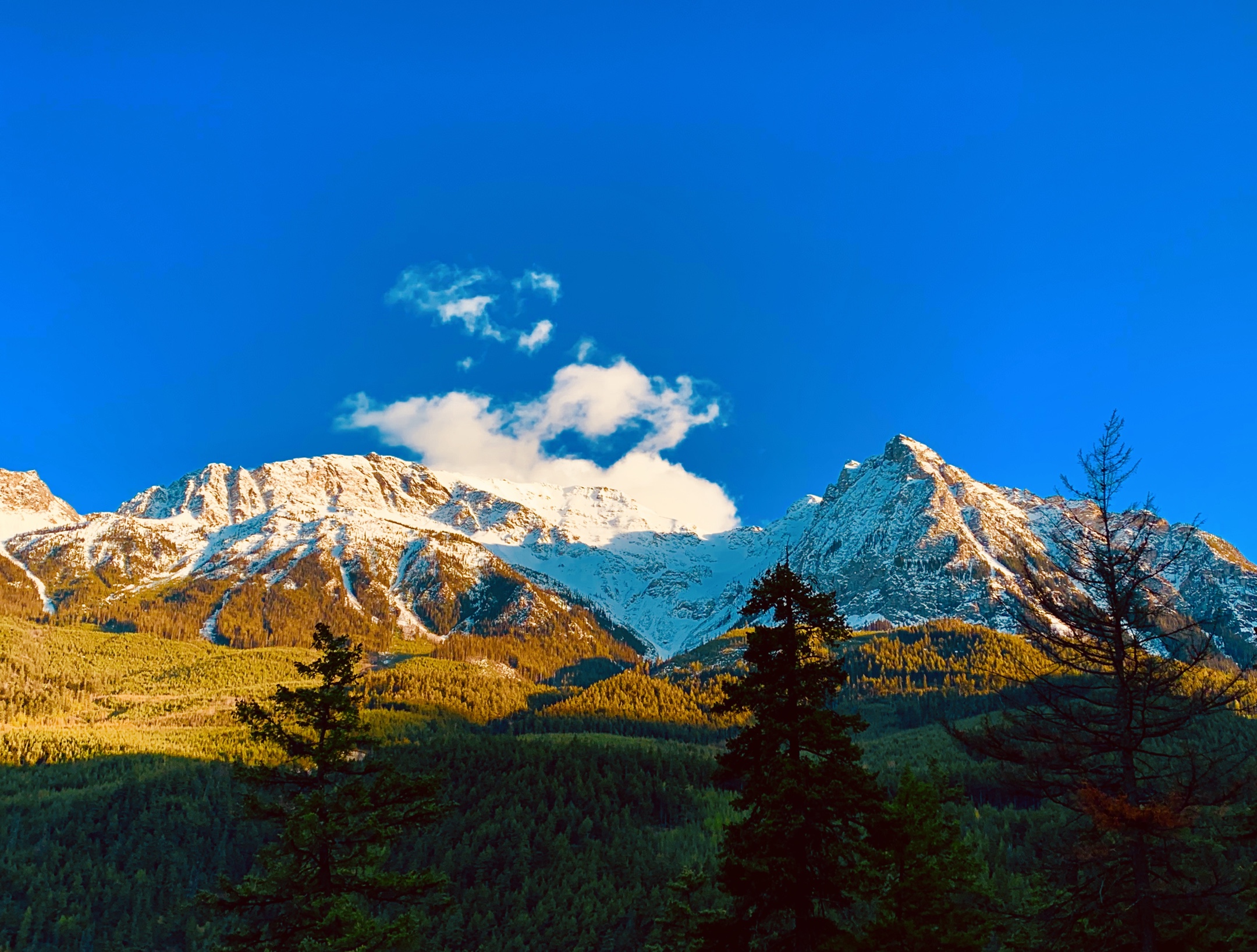 春走加拿大10惠斯勒坎普斯雪山群日照金山