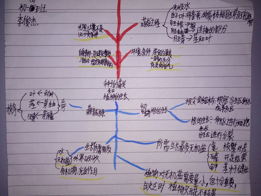 顺着思路绘出脉络清晰的思维导图