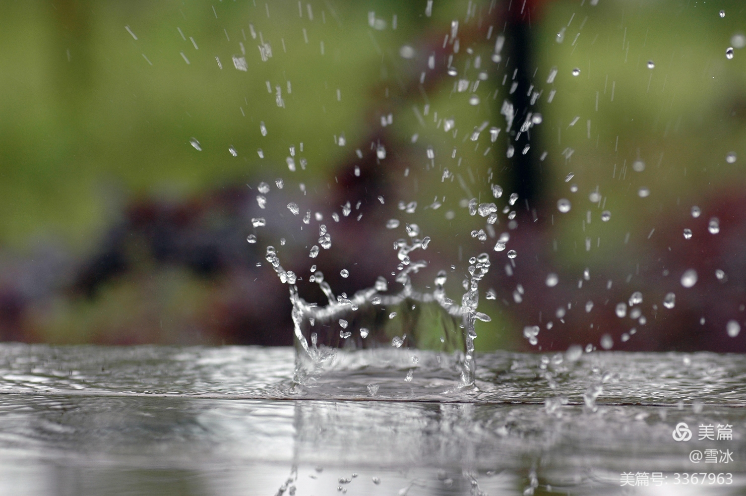 三月里的小雨