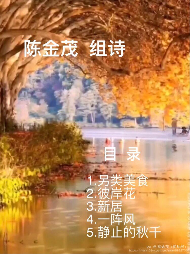 陈金茂｜秋一把将我拥入怀中（组诗）【冰心文化传媒】（图11）