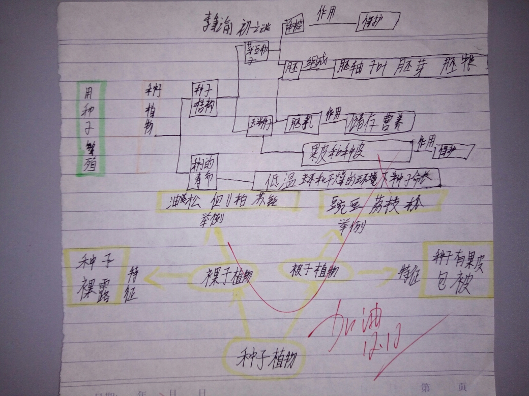 顺着思路绘出脉络清晰的思维导图