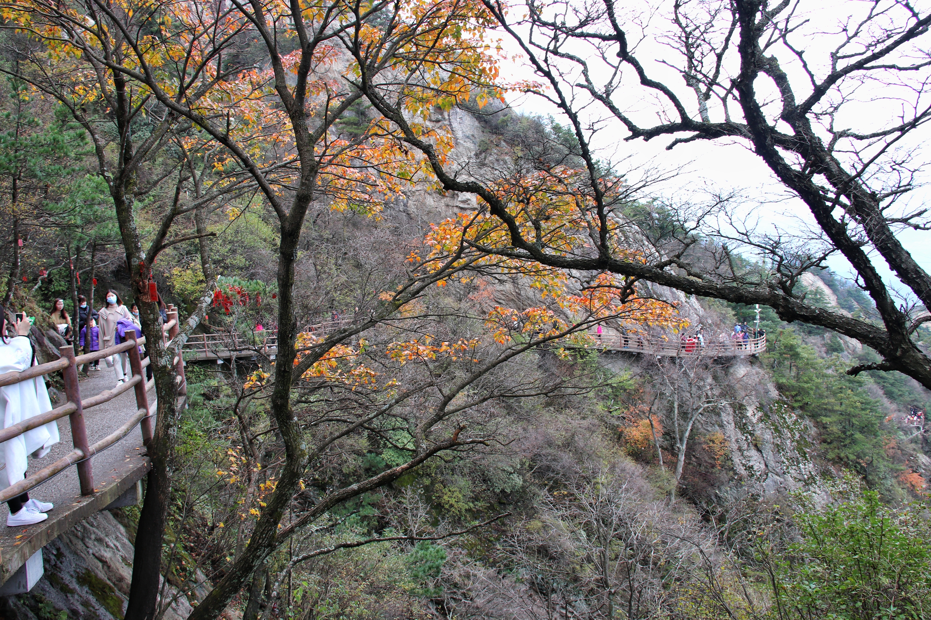 老君山