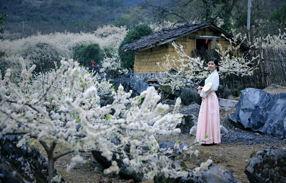 白果塘李花人像一辑