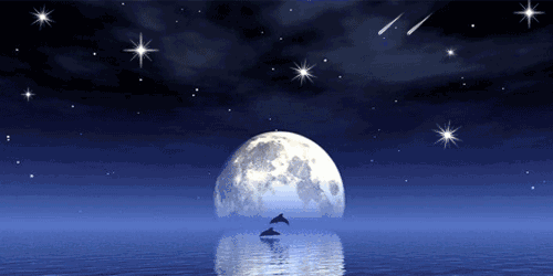 我都会仰望星空 但从来就没有亲眼见过鹊桥 更无从得见牛郎织女