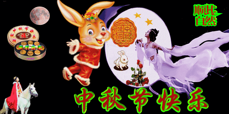 菊花幽香,在月下清浅浮动,涌动着亲人团圆在月下,相依依偎的暖.