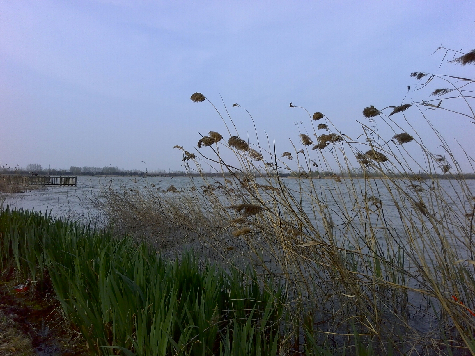 九里湖湿地公园