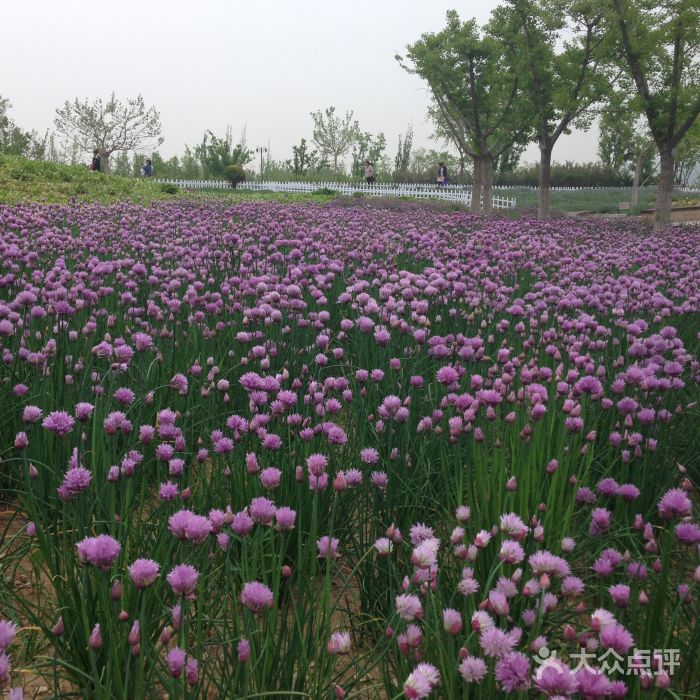 游董家沟植物园