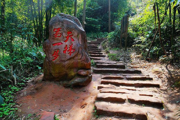 【朗诵】爱情天梯