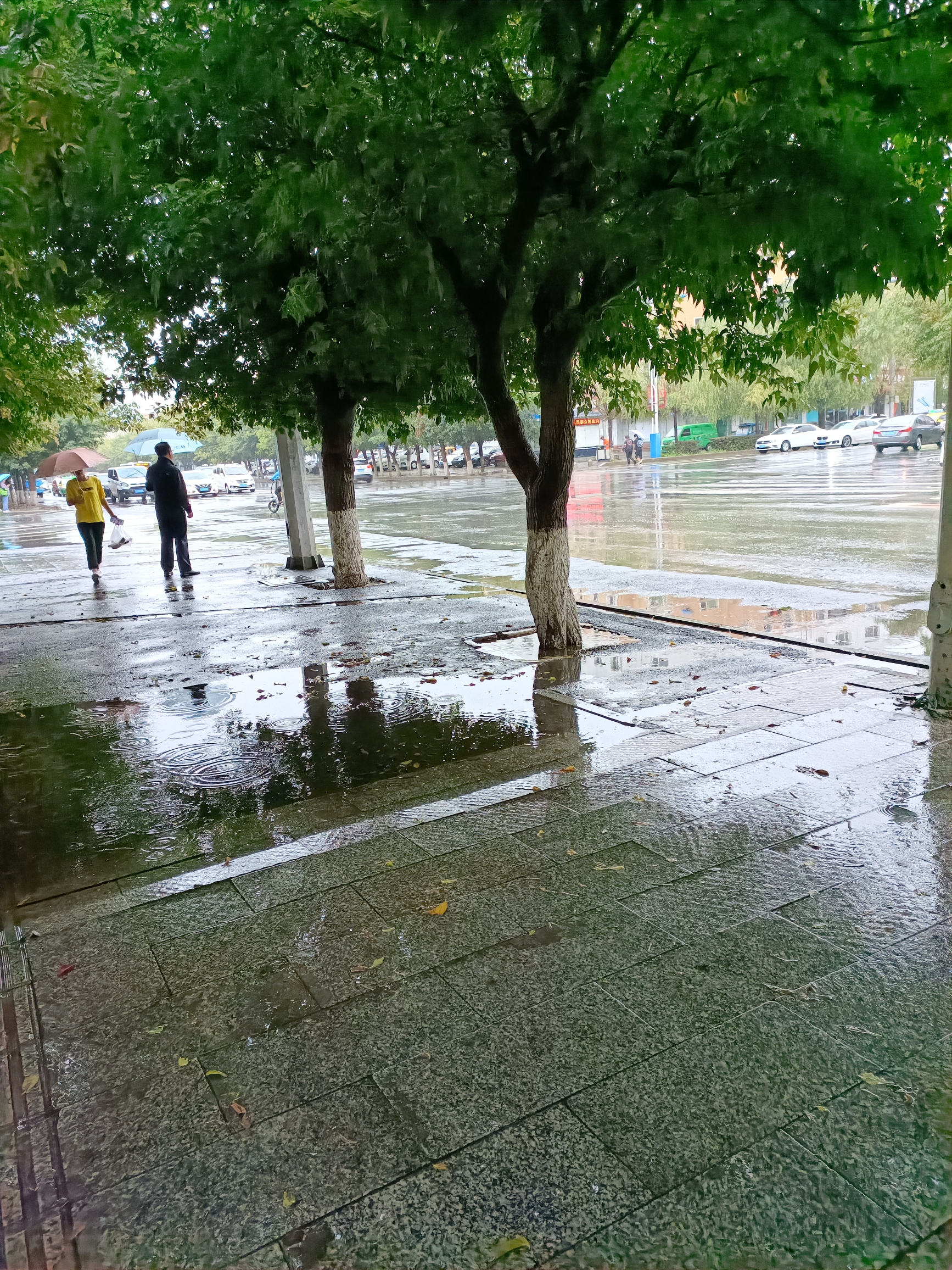 雨季