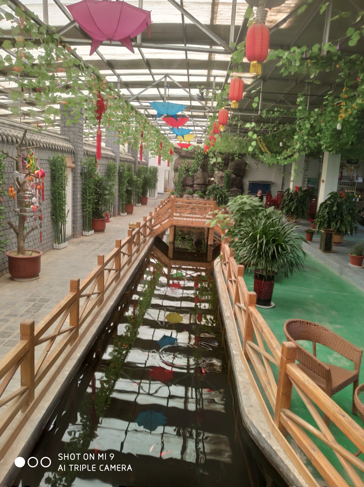 诗经汾沮洳赏析