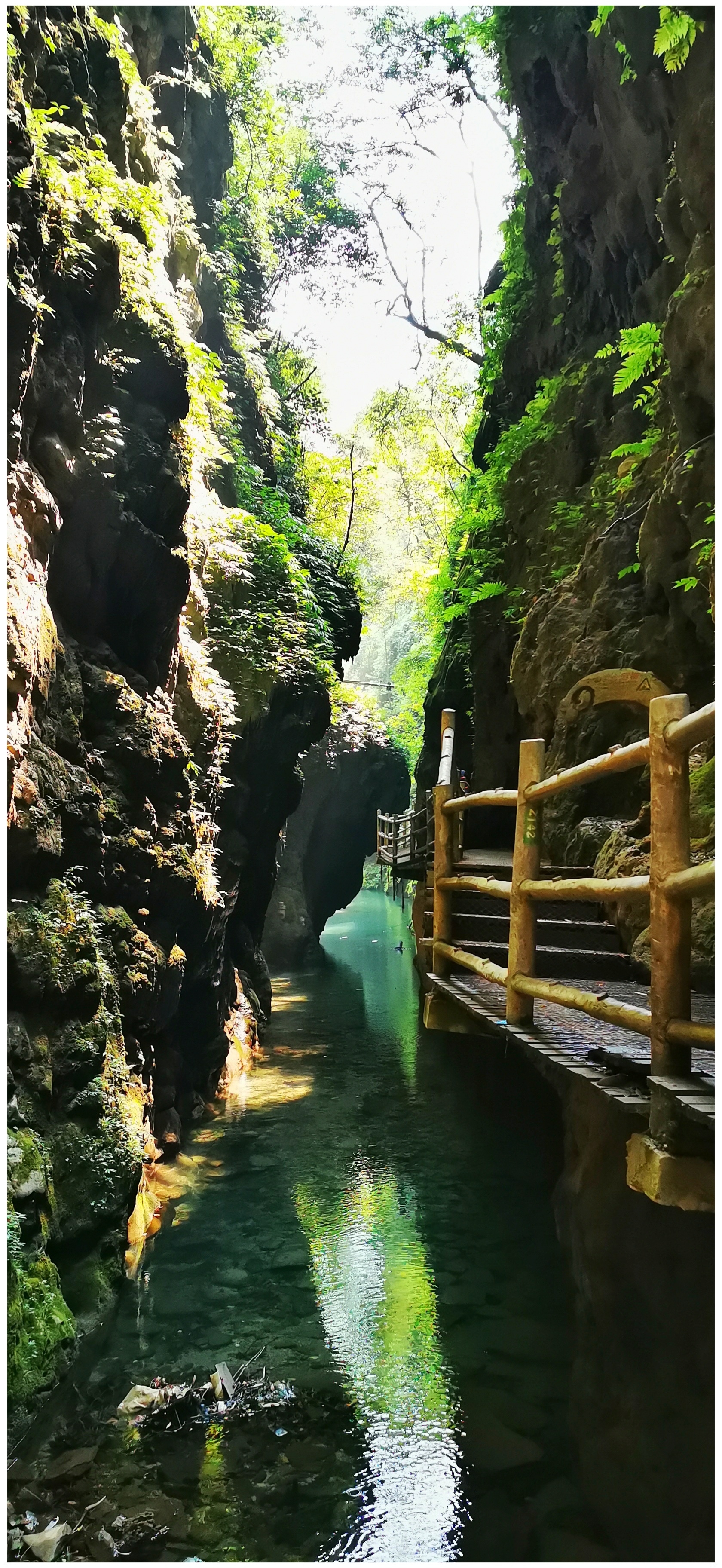 重庆金刀峡风景