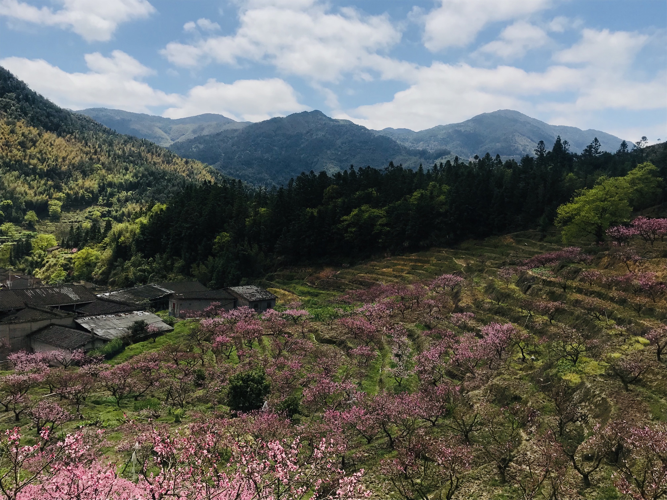 20200401古田临水宫兰坦村赏桃花一日游