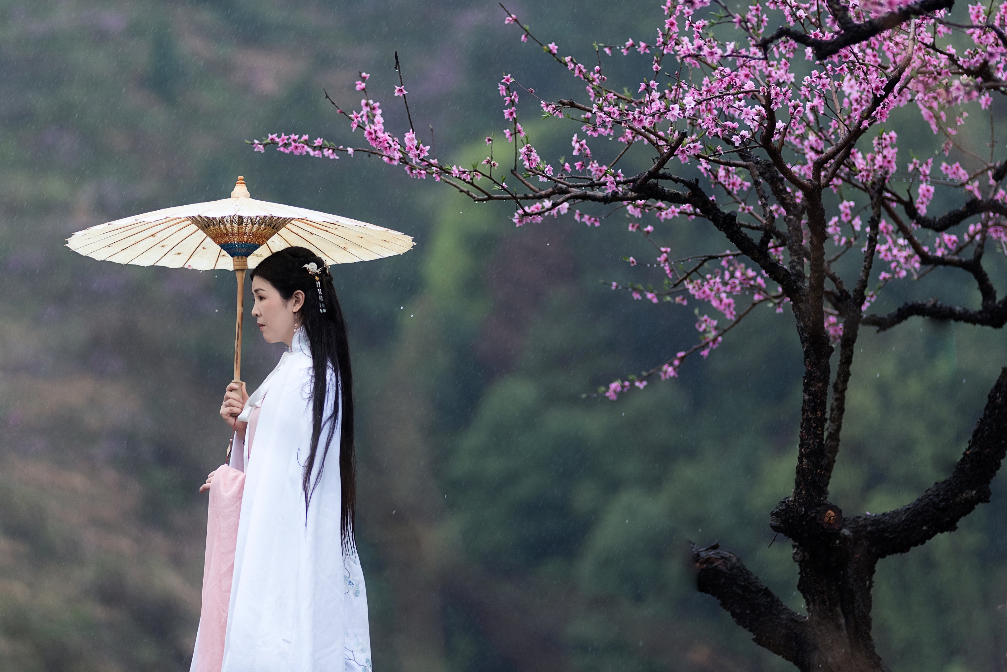 桃花诺