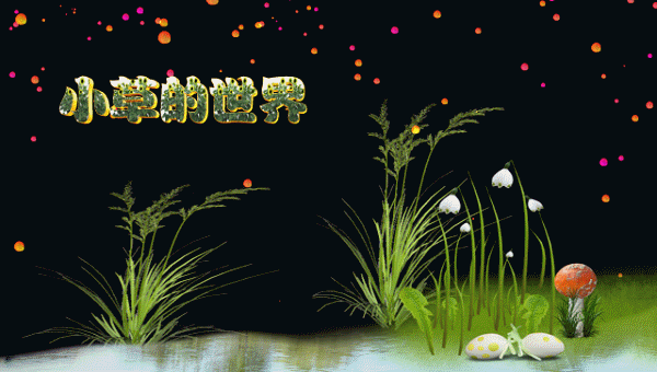 首发孤独吗小草