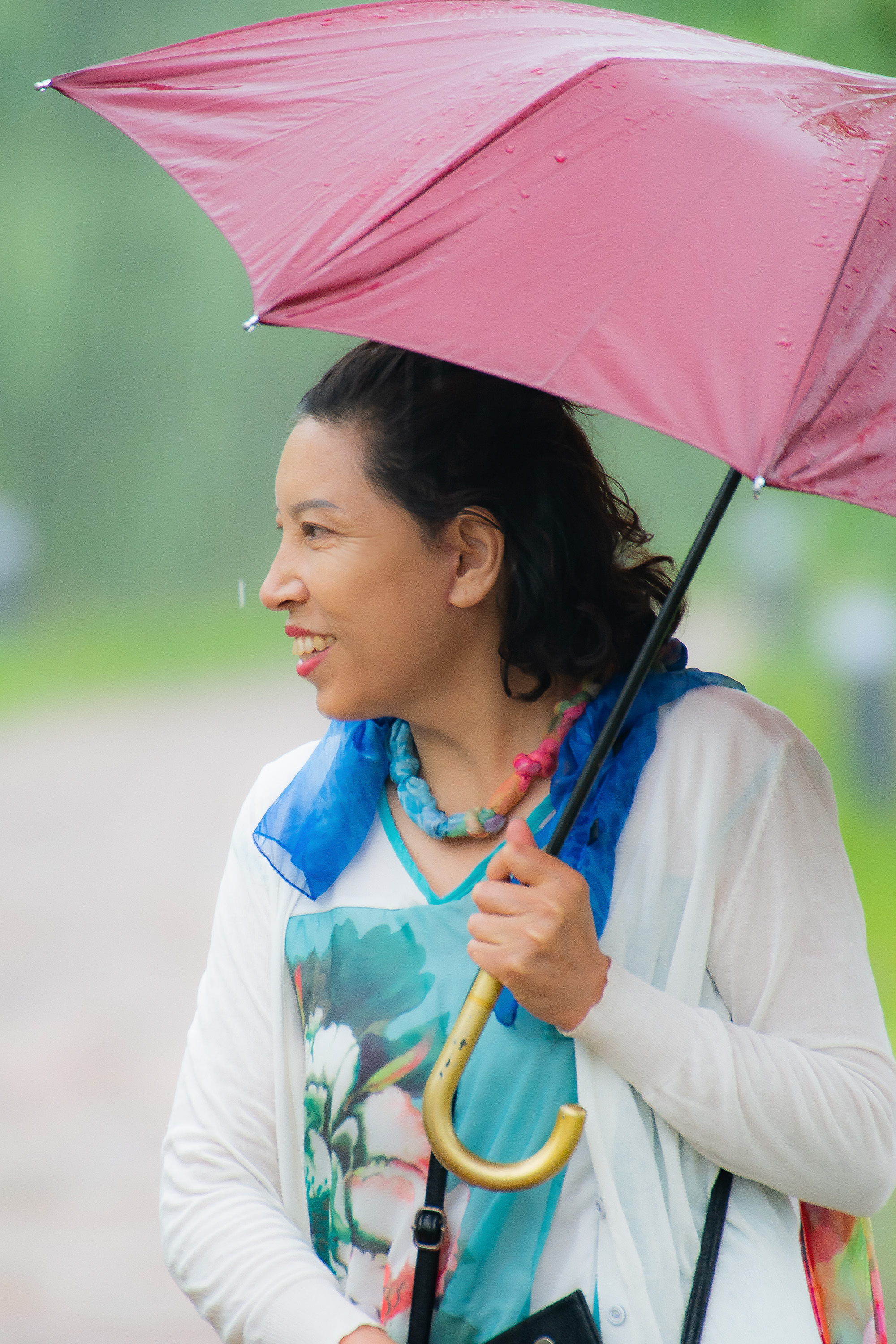 雨中即景