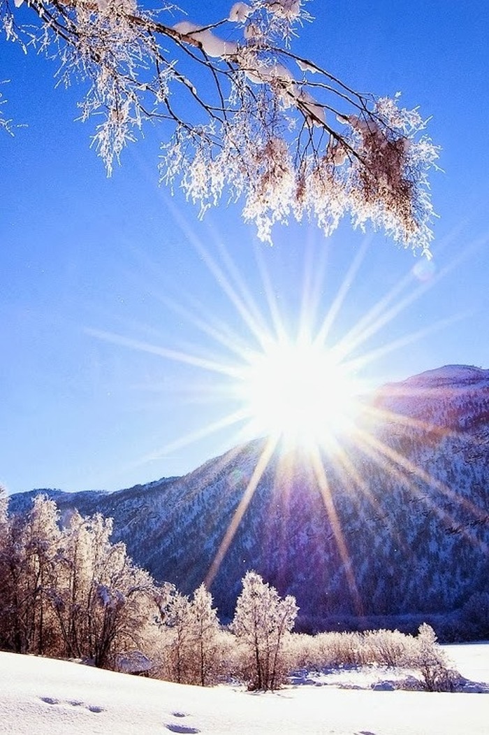 当暴风雪过去 我就是你的等待 那颗冬天太阳