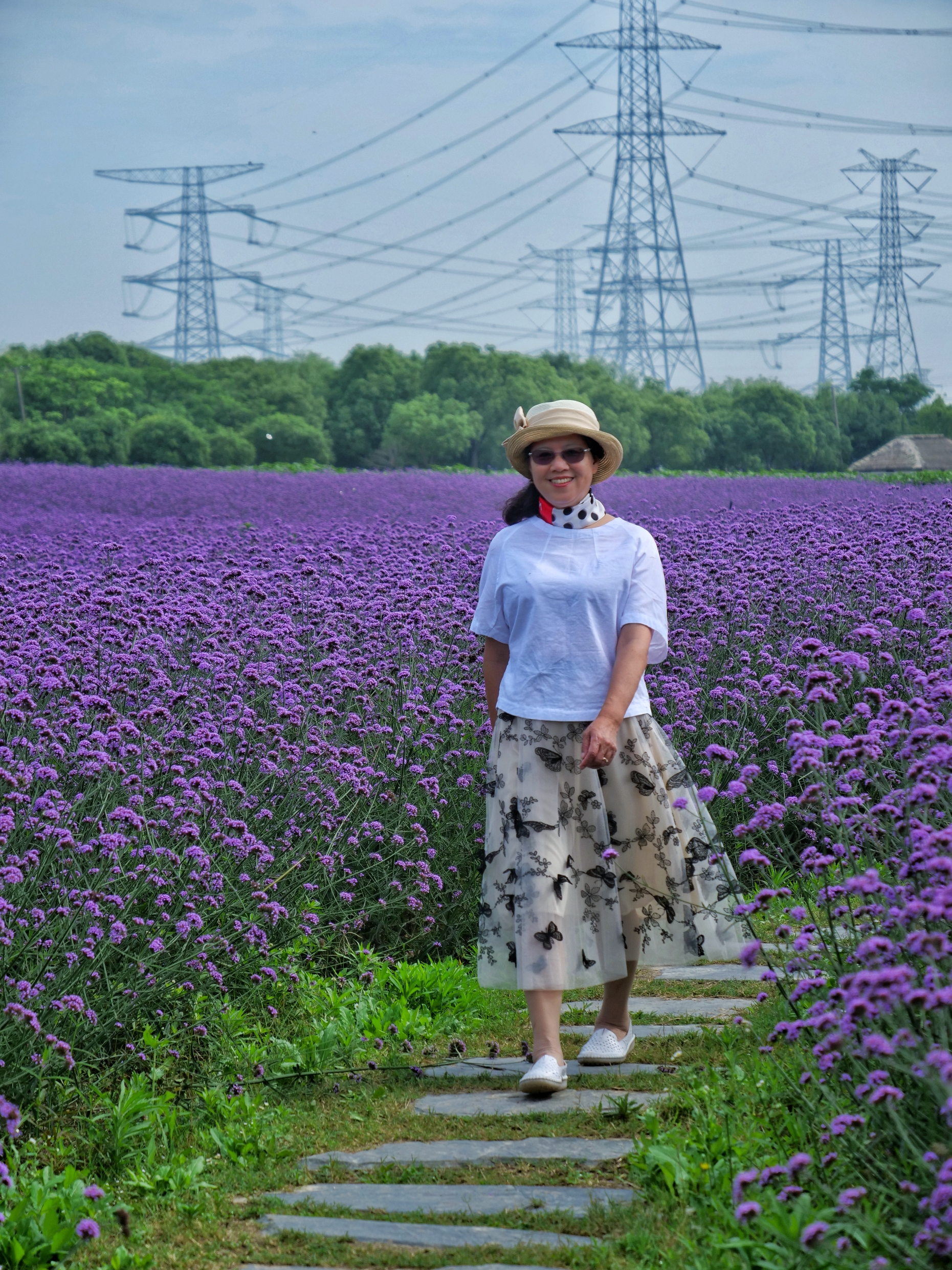 2021上海寻梦源首届薰衣草文化节