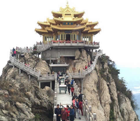 我的河南