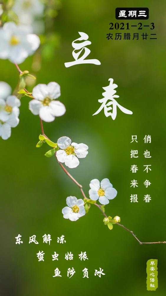 立春有感