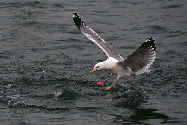 首发05人05不孝不可交