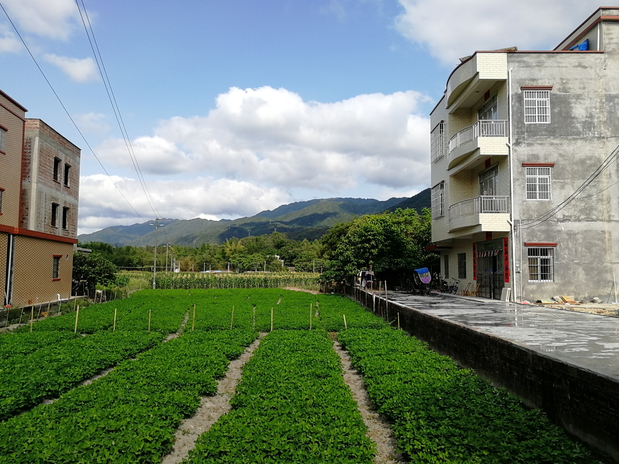 阳春市八甲镇超深度游