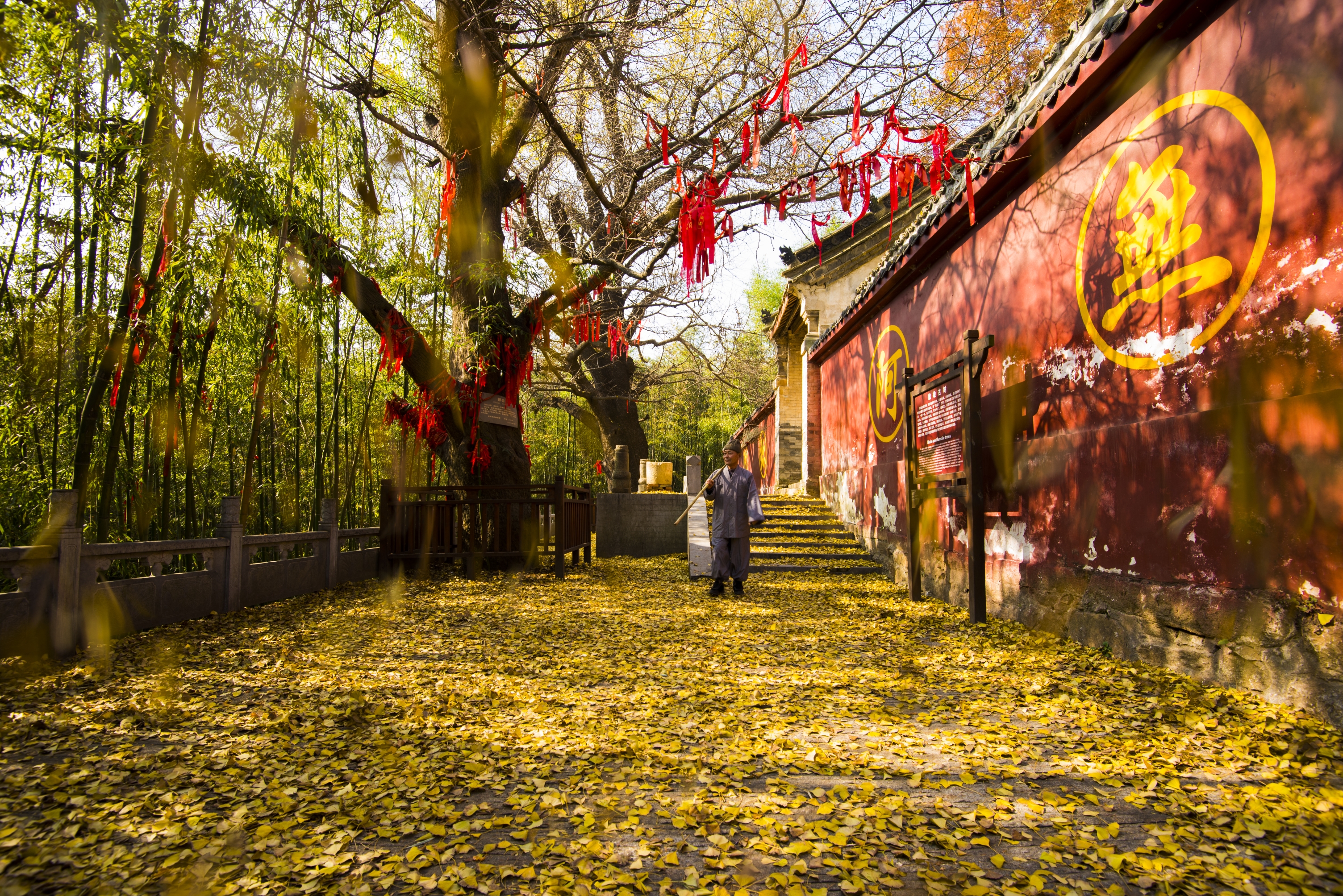 白竹园寺国家森林公园秋色