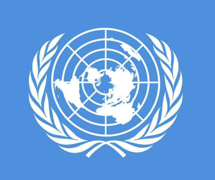 联合国标志美国纽约联合国安理会常任理事国据联合国统计,全世界共有