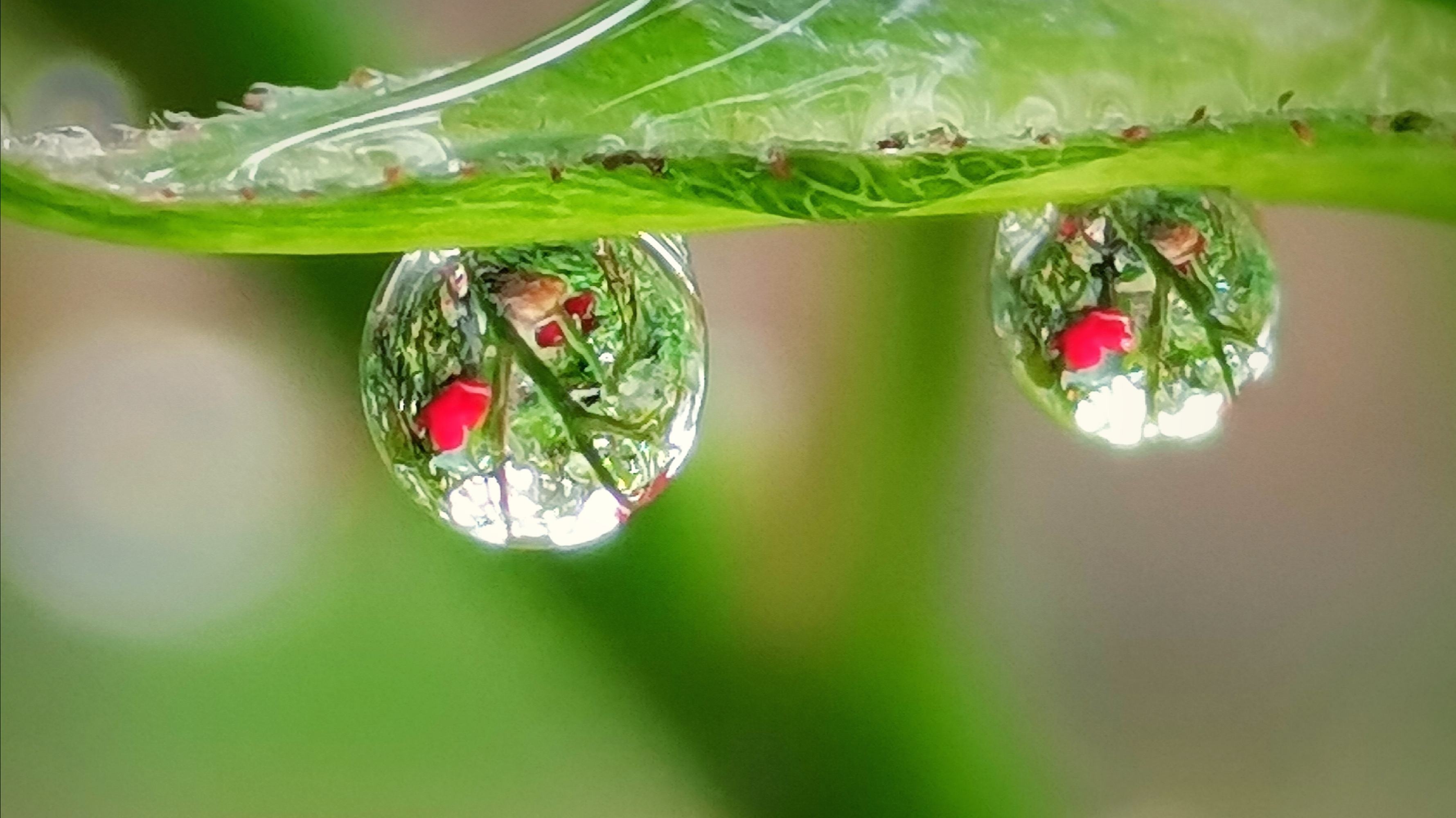 【一滴雨 首发