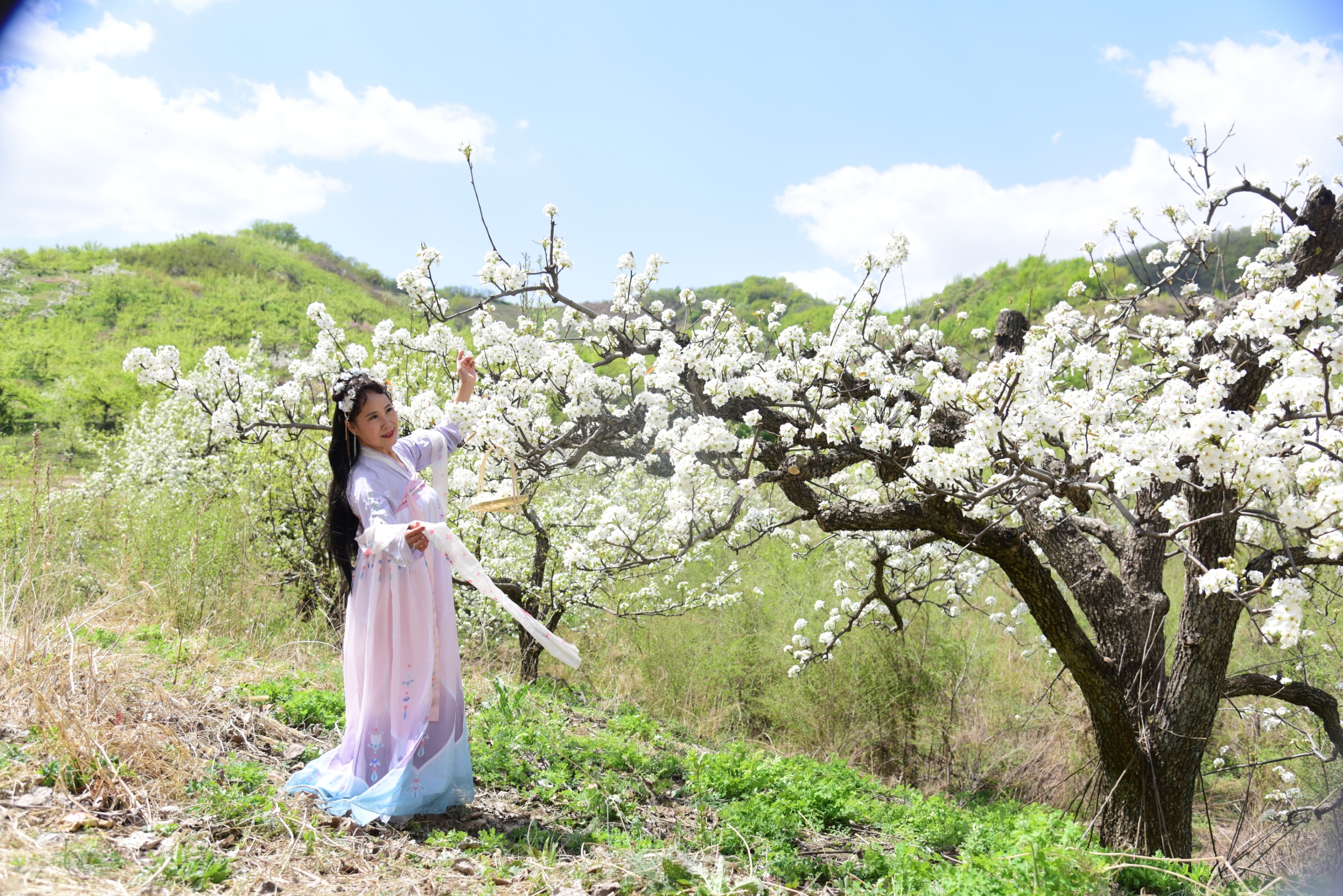 出镜:静静地                     场景:梨花谷