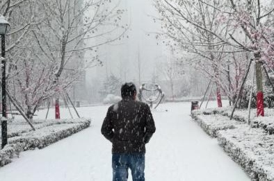 疫年雪中情 大岗人 20.20.2.