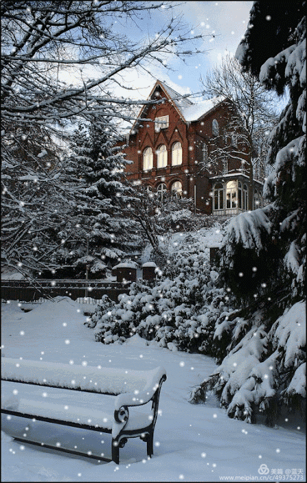 片片雪花片片情