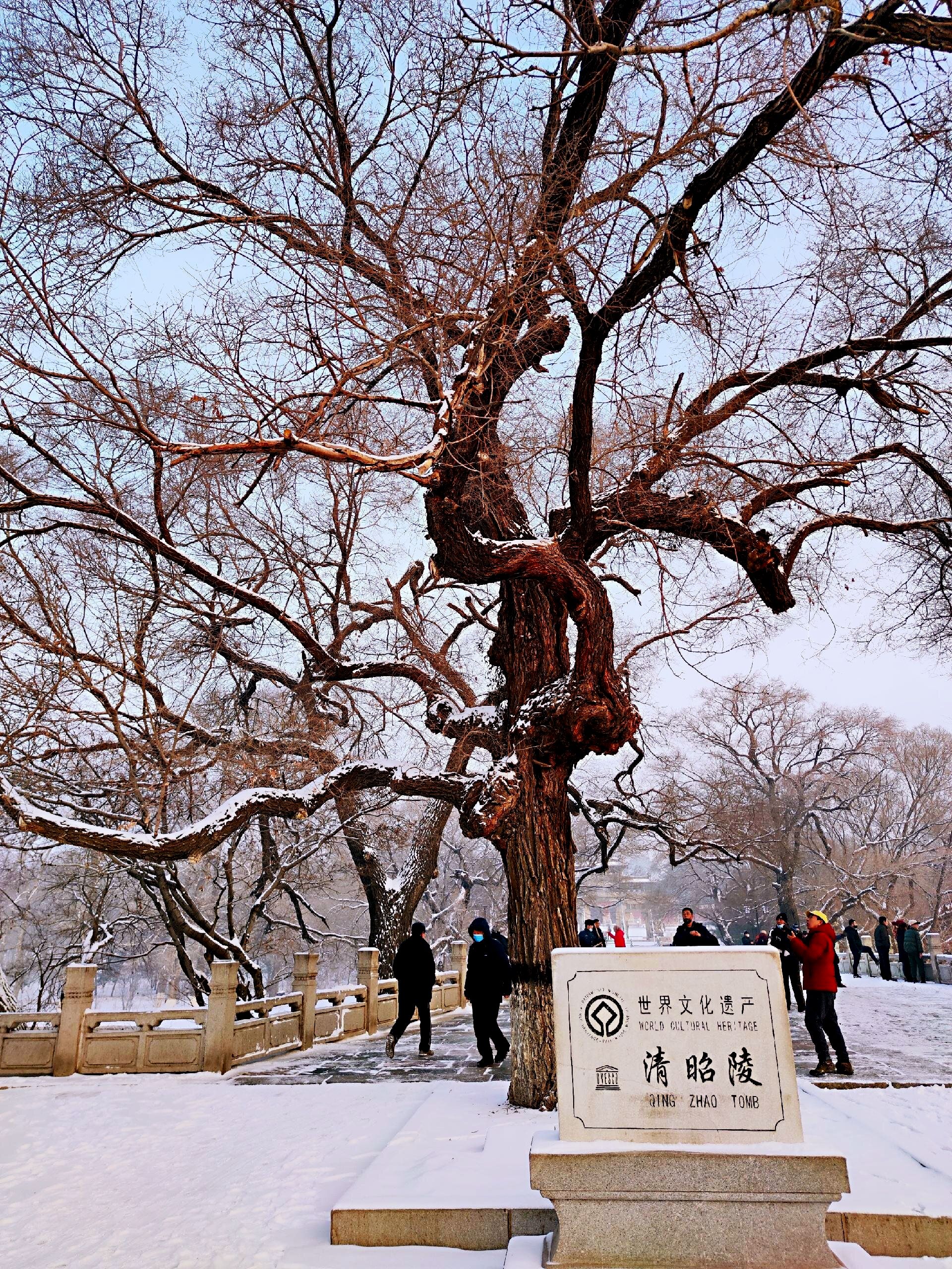 旭日展高阳,送暖春光.融成细水润田秧,漫洒清香.