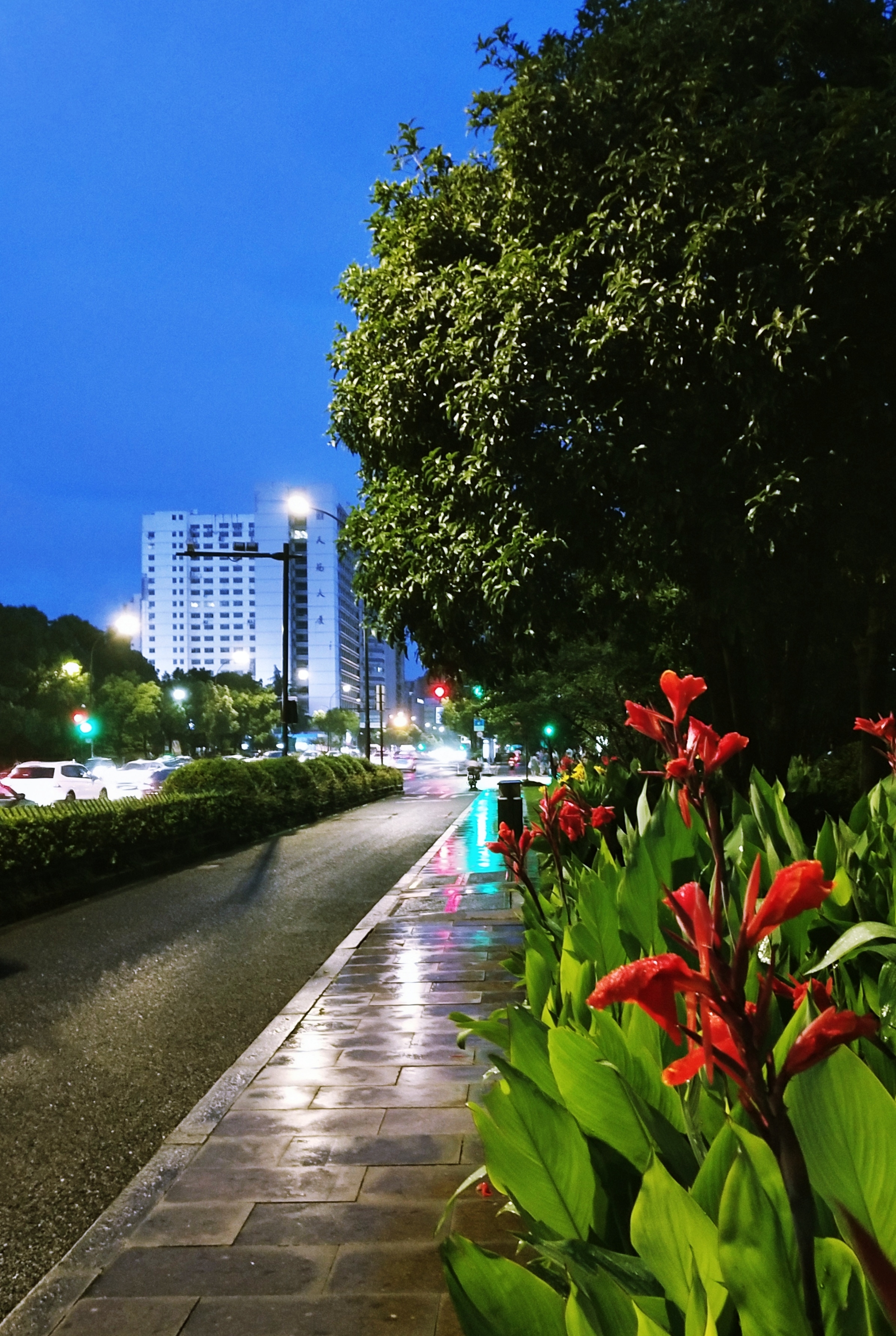 雨天街景(首发)