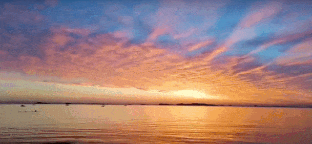 将思念寄往天涯作者:贾金桃朗诵:桃李主播团