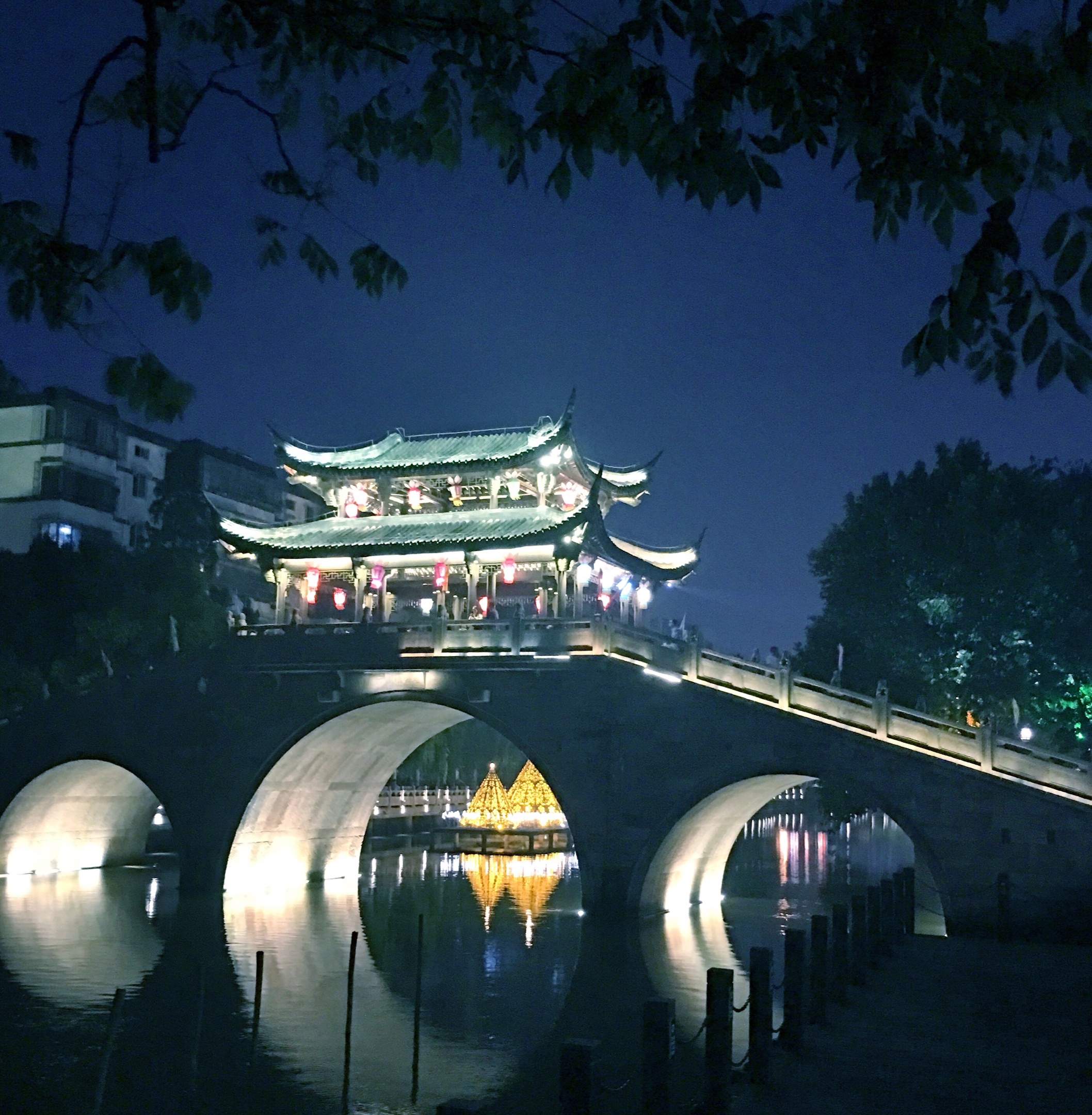 标题《古河夜景》摄于海宁市南关厢古街标题《鸽子晨欢》摄于浙江工商