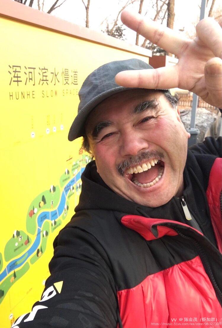 陈金茂〔美国〕向音乐致敬（组诗之二）【冰心文化传媒】（图33）