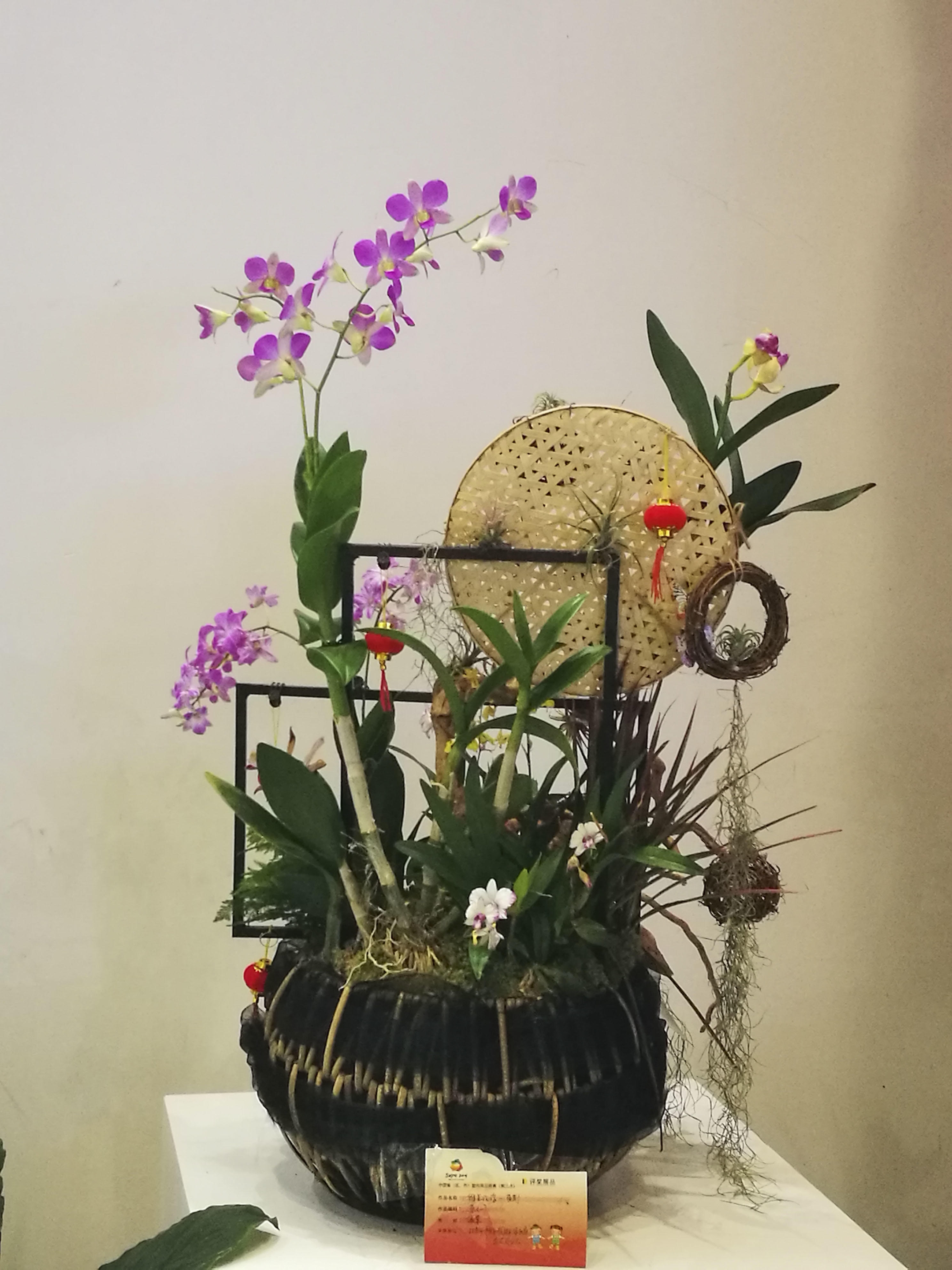 【首发】静物摄影～插花艺术