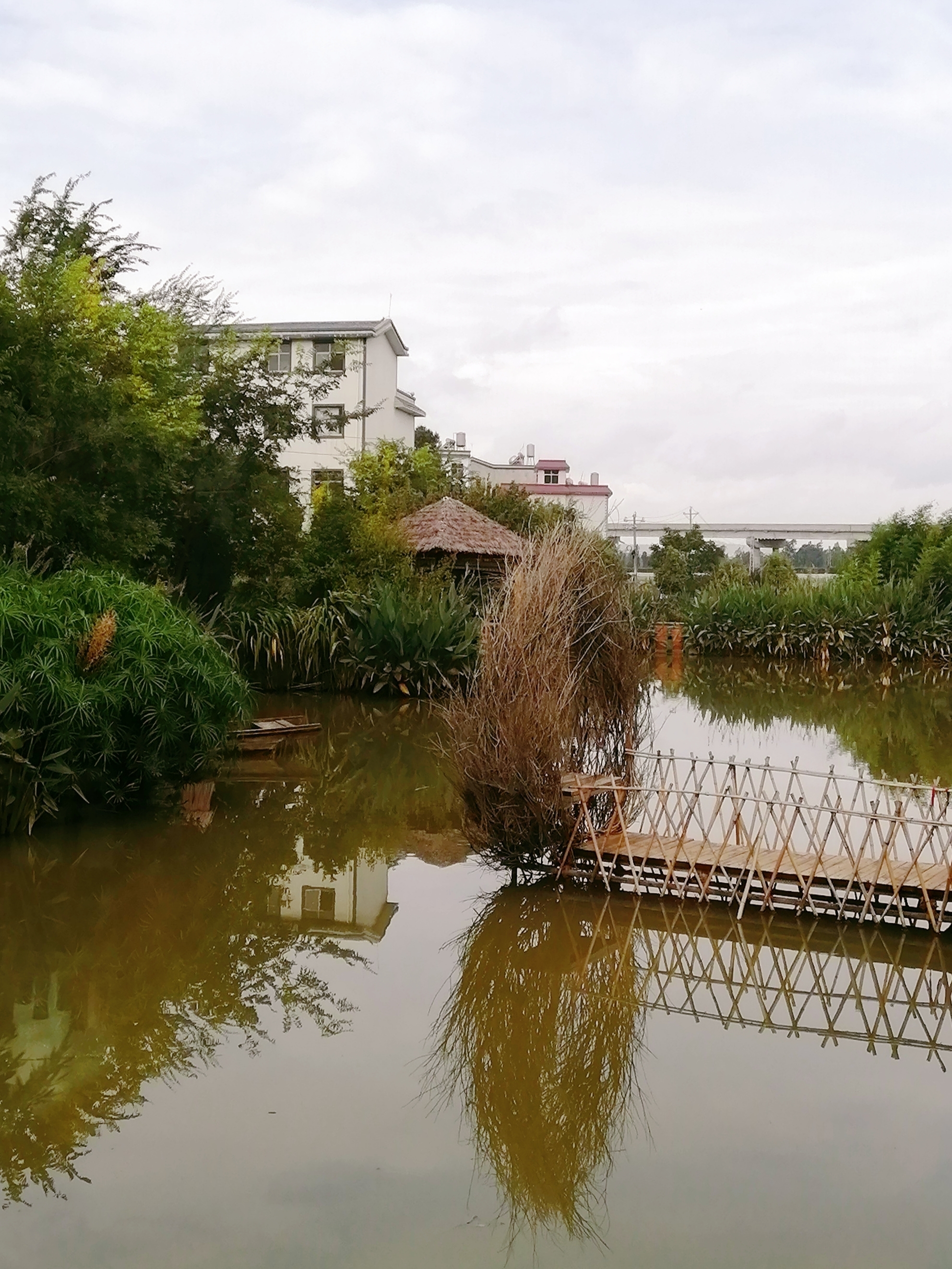 吉泉湿地庄园一瞥