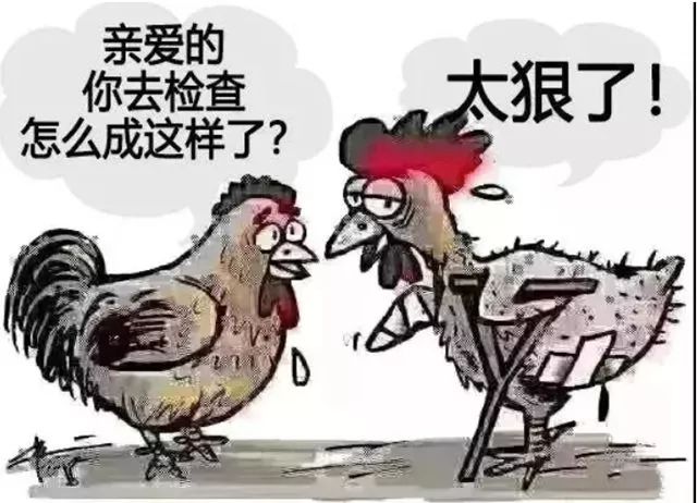 铁公鸡一毛不拔