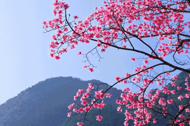 一脸浅笑的胭脂  醉在纳供来势太过汹涌伊甸园里那股飓风啊(三)等待