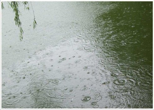 朗诵清明雨作者烟雨沧茫编辑安静