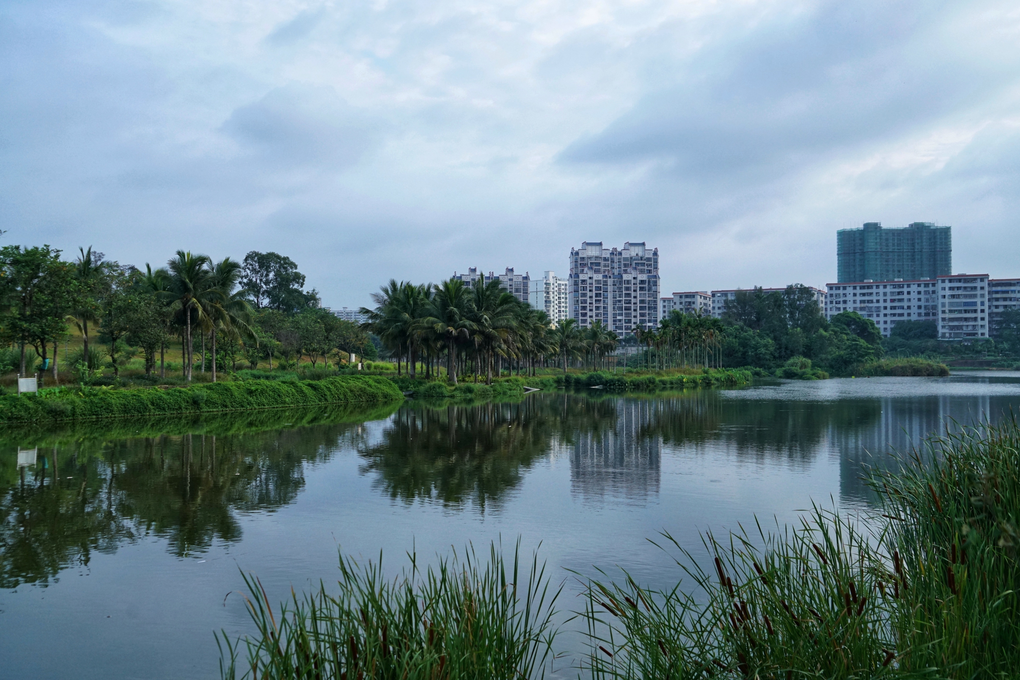 美舍河湿地公园