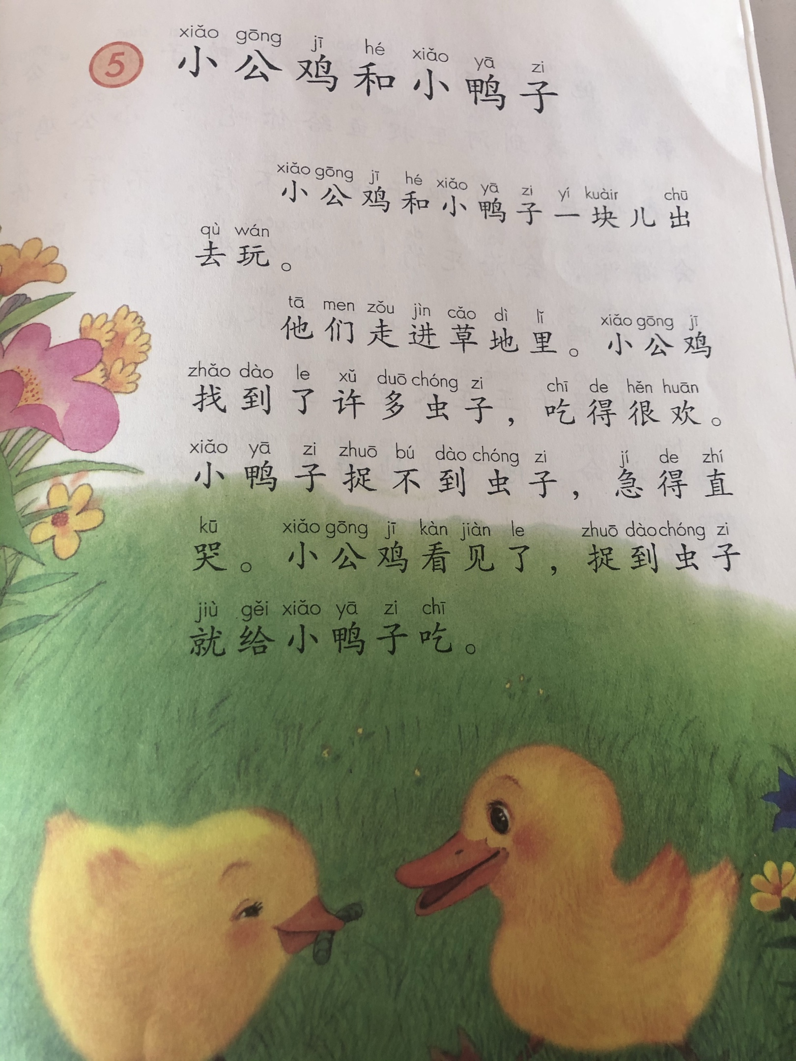 谭雨彤邀请你一起读——小公鸡和小鸭子