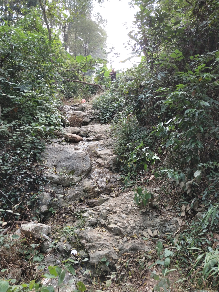 城中的荒山野岭