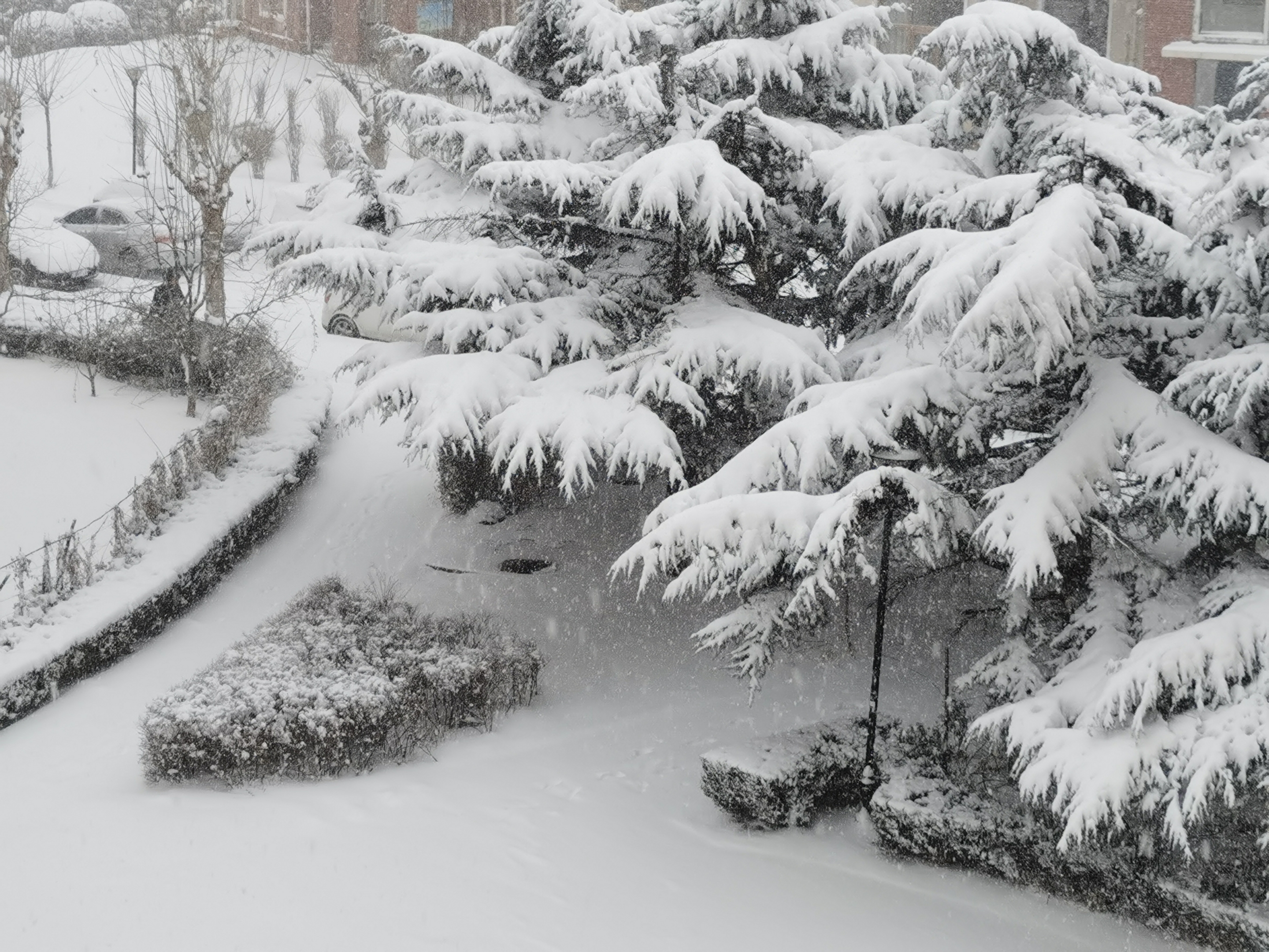 《煮雪》林清玄