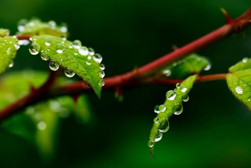 三月里的小雨 淅沥沥沥沥沥 淅沥沥沥下个不停